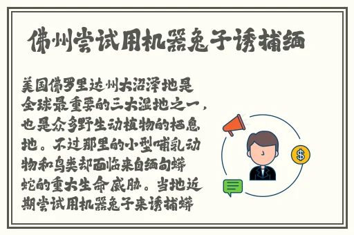 **入口